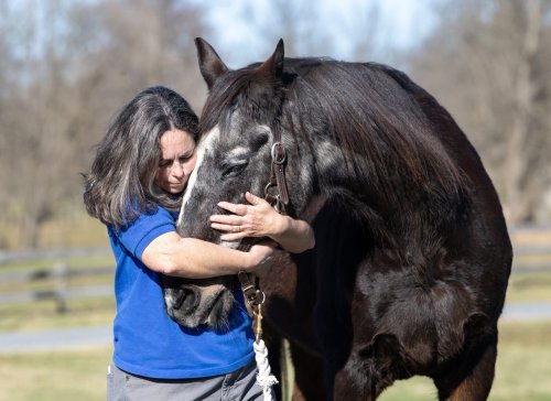 What Keeps America’s Oldest Thoroughbred Going Strong?