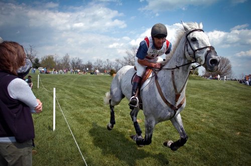 Four Equestrian Events to Attend This Spring That Aren’t the Derby