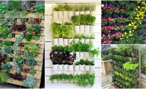 10 DIY Vertical Garden Ideas That You Will Find Helpful