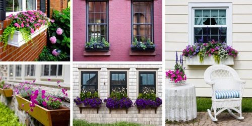Beautiful Window Boxes To Prettify Your House Exterior