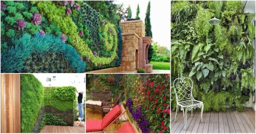 Vertical Wall Garden Is The Best Idea For Saving Space