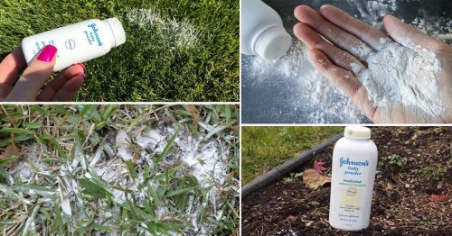 10 Effective Baby Powder Uses In The Garden