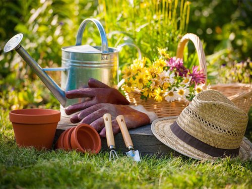 July Gardening Tips and To-Do List