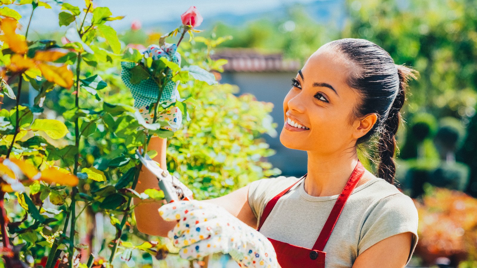 Upgrade your garden routine with these Amazon finds - cover