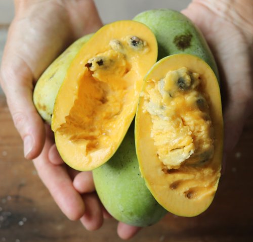 Pawpaws: Everything You Need to Know About the Native American Fruit