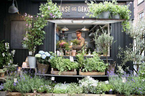 Shopper's Diary: Blomsterskuret, the World's Most Beautiful Flower Shop? - Gardenista