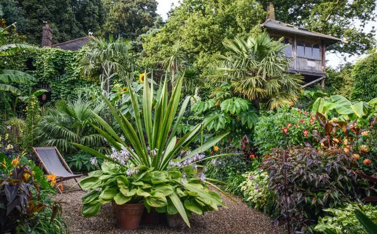 THIS IS WHY
WE
GARDEN - cover
