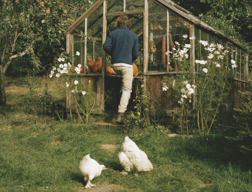Julius Roberts' New Cookbook 'The Farm Table': Review