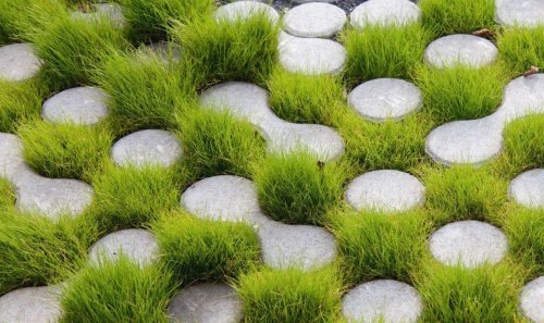 Grass Block Pavers: A Permeable and Sustainable Design Solutions for Driveways and Patios