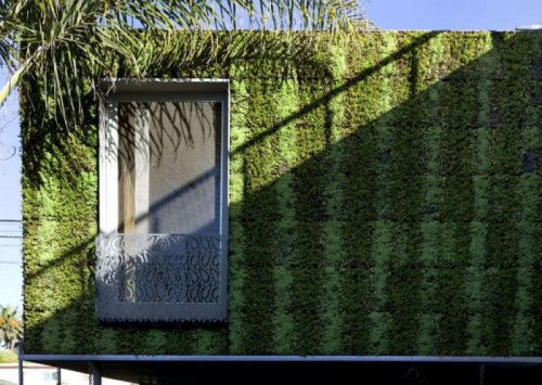 Vertical Gardens: The Greenest House in Venice, California - Gardenista