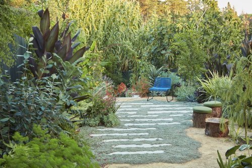 Garden Visit: A Vibrant, Multifunctional Landscape in Oakland, CA, by Pine House Edible Gardens - Gardenista