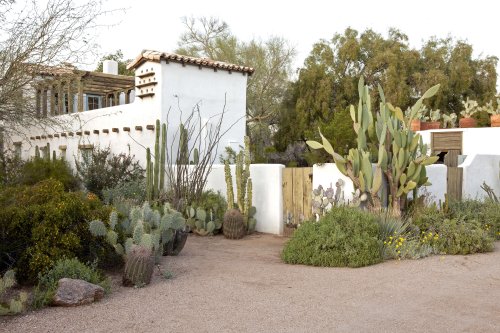 10 Ideas to Steal from Desert Gardens - Gardenista