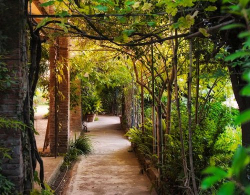 The Best Secret Garden in Barcelona - Gardenista