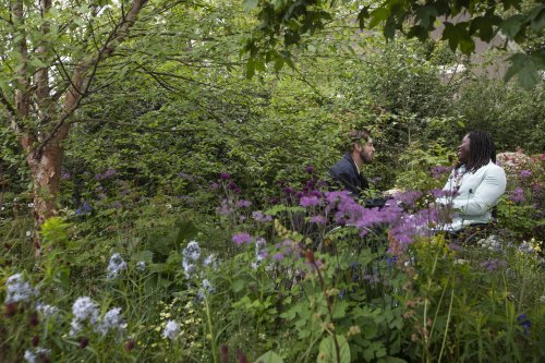 Chelsea Flower Show 2023: Harris Bugg's Garden Wins Best in Show