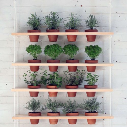 DIY: Hanging Garden Shelves for a Small Space - Gardenista