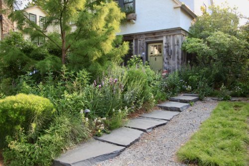 Garden Design to Help Absorb Stormwater and Prevent Flooding