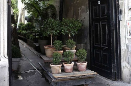 A Secret Courtyard Garden in Buenos Aires - Gardenista