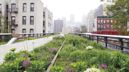 10 Garden Ideas to Steal from the High Line in New York City - Gardenista