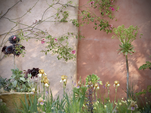 Sarah Price's Painterly Garden at the 2023 Chelsea Flower Show