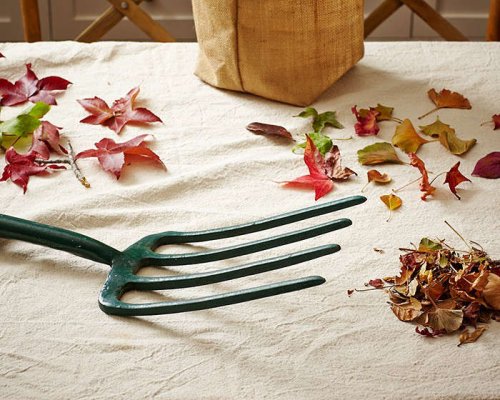 Gardening 101: How to Use Fallen Leaves - Gardenista