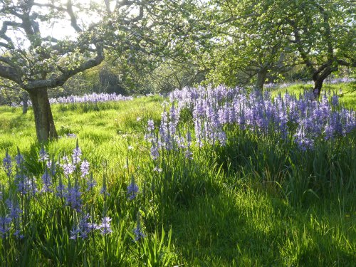 Garden Visit: 9 Ideas to Steal from the Bravura Planting at Gravetye Manor in Sussex - Gardenista