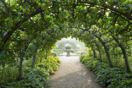 The Gardener King: The New British Monarch's Passion for Sustainable Gardening - Gardenista