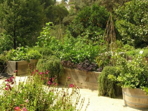 The Landscape Designer Is In: Creating and Maintaining a Thriving Kitchen Garden - Gardenista