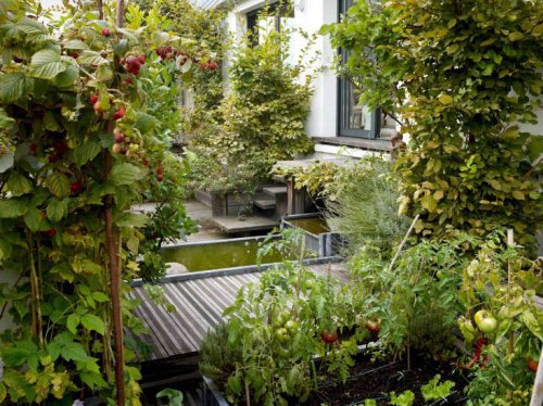 Secret Paris: A Tiny Roof Garden with an Eiffel Tower View - Gardenista