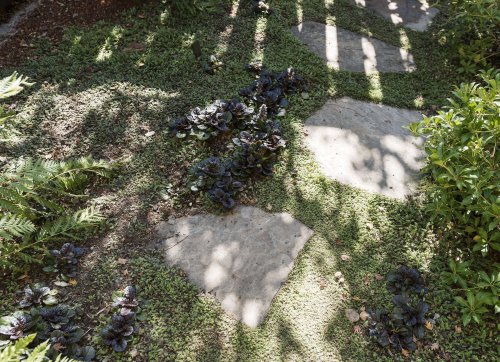 Hardscaping 101: Ground Covers to Plant Between Pavers - Gardenista