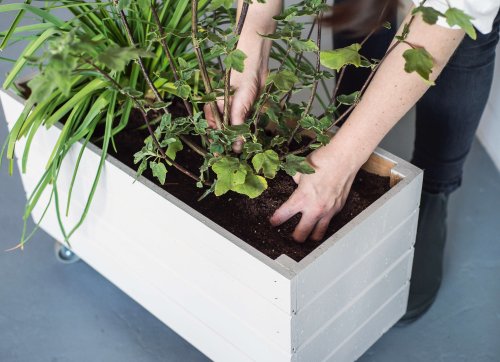 Container Gardening: A DIY Planter on Wheels - Gardenista