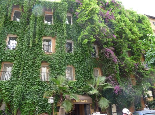 The Original Vertical Garden: Hotel Raphael in Rome - Gardenista