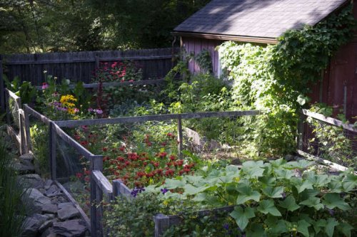 Garden Visit: A Cook's Garden in Upstate New York - Gardenista