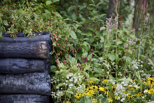 Top Garden Trends at the 2021 Chelsea Flower Show - Gardenista