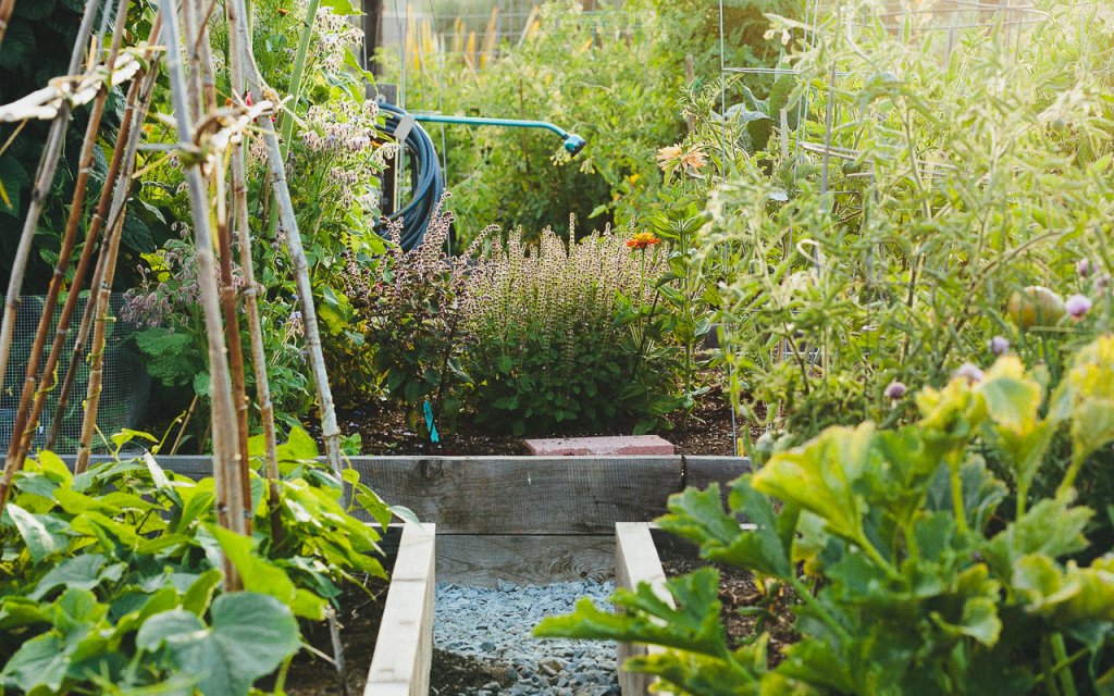 Organic Gardening - cover