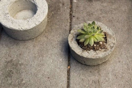 10 Genius Garden Hacks with Poured Concrete - Gardenista