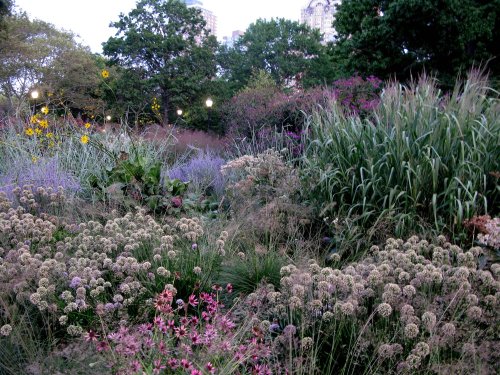 Warrie Price, On The Battery's Sustainable Landscape Design