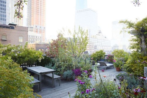 Landscape Design: 10 Simple Layouts for Summer Roof Gardens - Gardenista