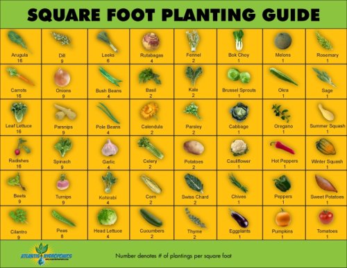 Square Foot Planting Guide - Garden Therapy