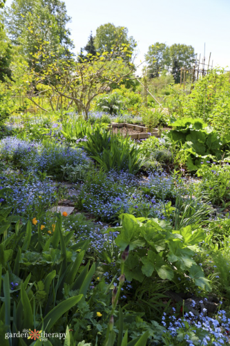 The 25 Best Practices for Regenerative Gardening - Garden Therapy