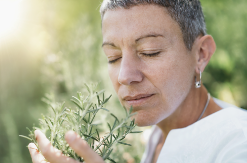 The Science Behind Herbs and Mental Health