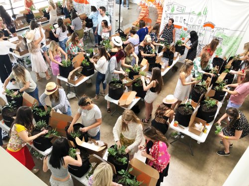 Mental Health Awareness Month: Plant the Conversation