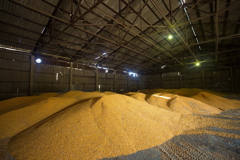 Inteligencia artificial para detectar alimentos contaminados