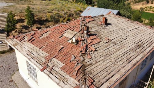 Okul çatısının onarımı yavru kuşlar için durduruldu