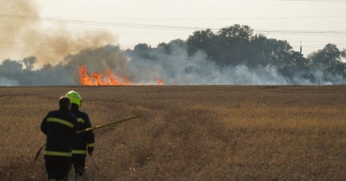 Fire Brigade respond to several incidents including huge field blazes as temperatures soar