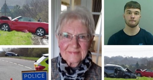 Grandma heading to beach for tea and sandwiches when man 'driving like idiot' caused fatal crash