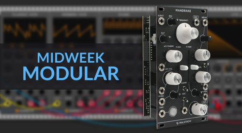 Midweek Modular: Dice, Mandrake and Surge XT and Knots for VCV Rack