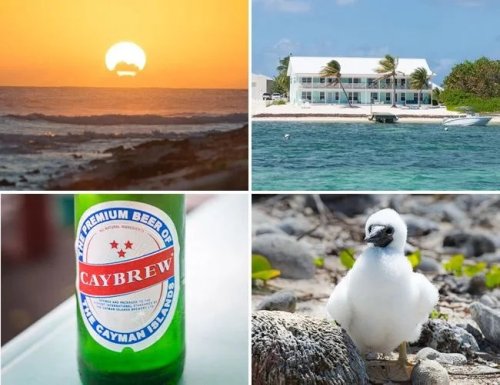 Diving, Spearfishing and Beer: Welcome to the Cayman Islands