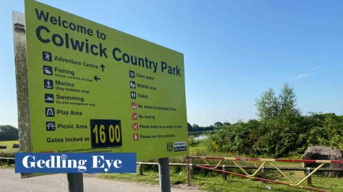 Bird flu cases at Colwick Country Park sparks council warning to public