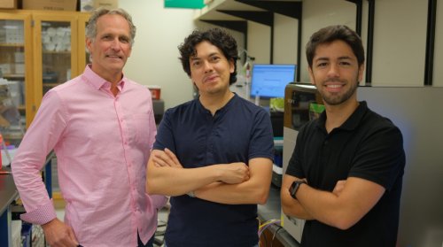 Institute for Protein Design spinout Monod Bio raises $25M for molecular biosensors