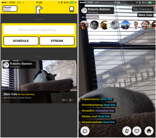 App of the Week: Meerkat streams life from your phone, live via Twitter